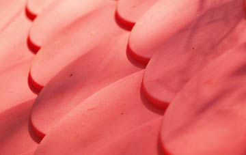 Barr Common plastic roof costs