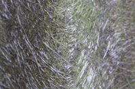 Barr Common fibreglass roof work